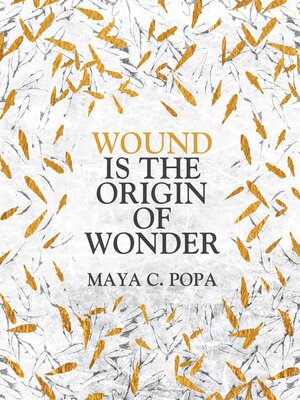 cover image of Wound is the Origin of Wonder